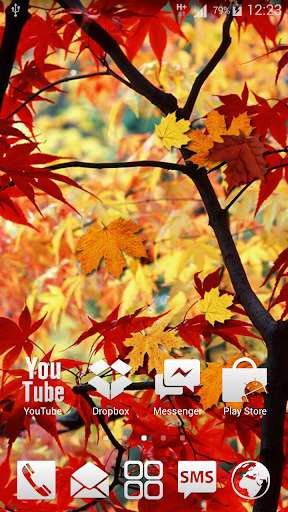 Autumn Leaves HD LWP