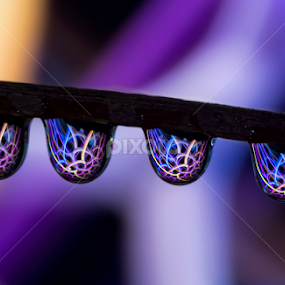 water drops by Youssef Elboukhari - Abstract Water Drops & Splashes