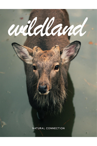 【免費生活App】Wildland Magazine-APP點子