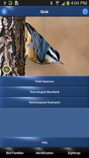 Bird Id North America(圖4)-速報App