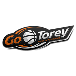 GoTorey 0.0.1