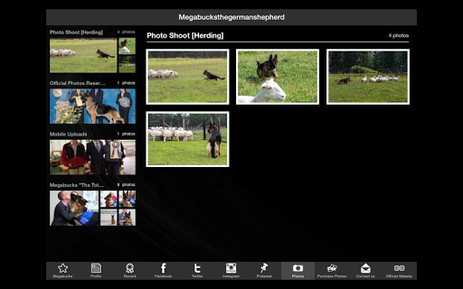 【免費生活App】Megabucks German Shepherd app-APP點子