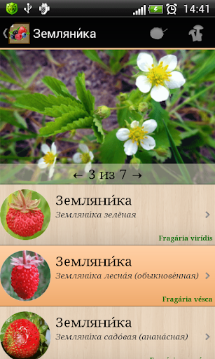 【免費書籍App】Справочник ягод-APP點子