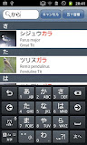 野鳥の鳴き声図鑑