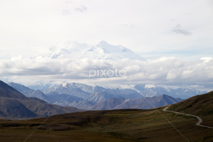 Denali Mountain by Michelle DeWeese Webber - Landscapes Mountains & Hills