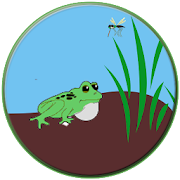 Active Frog  Icon