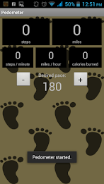 Pedometer by AppNext Level poster 7