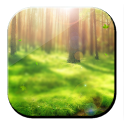 Forest Midday 3D LWP logo