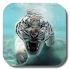 Tiger Live Wallpaper2.7.2