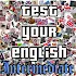 Test Your English II.1.4