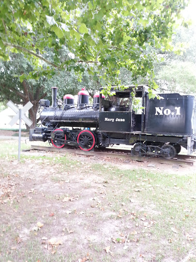 Mary Jane Steam Engine Train