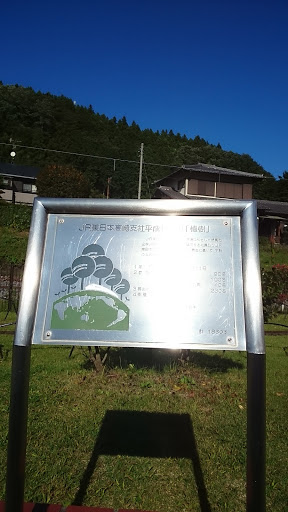 JR東日本高崎支社植樹記念碑