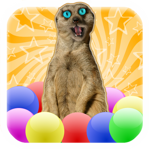 Meerkat Madness - Whack a Kat LOGO-APP點子