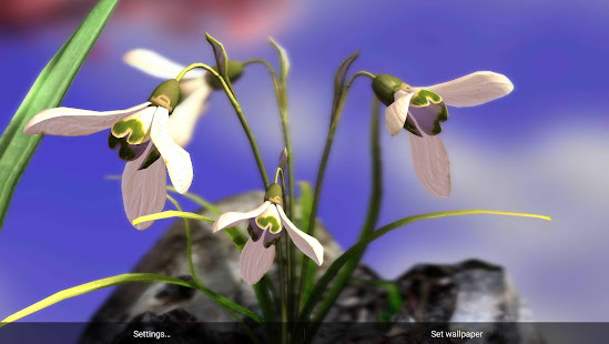 Nature Live❁ Spring Flowers XL(圖3)-速報App