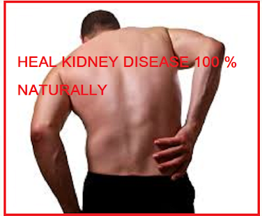 Kidney Disease Treatment