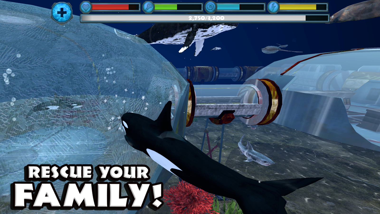 play free casino games online for free online orca play free casino games online for free online orca