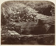 Badplaats met directe omgeving bij Candi Panataran.