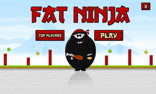 Fat Ninja