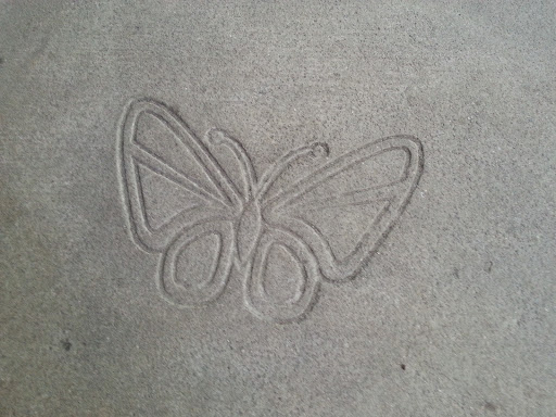 Flying Butterfly On Concrete