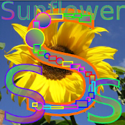 Easy Flower Alphabet