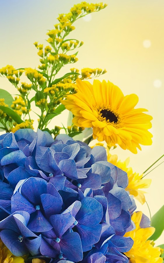 Spring Flowers Live Wallpaper - Android Apps on Google Play