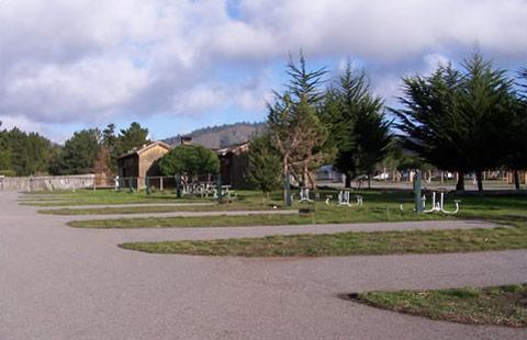Costanoa koa 2024