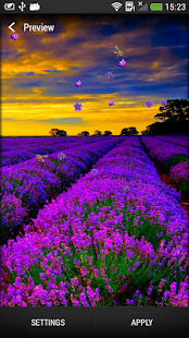 Lastest Lavender Live Wallpaper APK