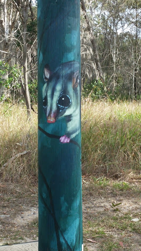 Big Eyed Possum Mural