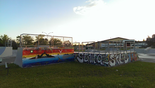 St Vital Skate Park Mural