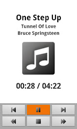 Accessible Music Player US poster 1