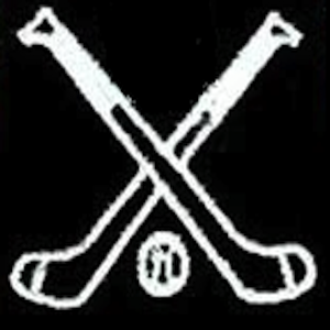 GAA Hurling Stats Recorder.apk 3.0