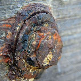 by Faisal Icong - Nature Up Close Natural Waterdrops