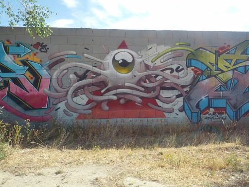 Grafiti OctopusEye