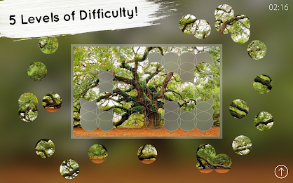 Venn Trees: Circle Jigsaw poster 18