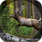 astuce Kill the Deer jeux