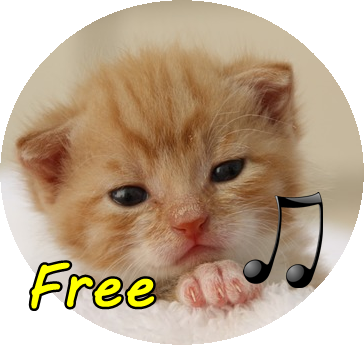 Capture d'ecran de l'application Android call Cat