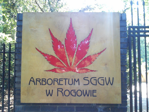 Rogów, Arboretum SGGW