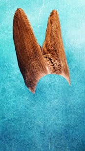 Hair Photo Fun - Hair Change Screenshots 3