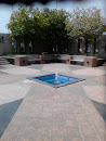 Secluded Fountain