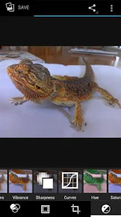 Snap Camera HDR - screenshot thumbnail