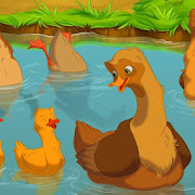 Farm - educational book