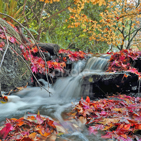 by Keith Sutherland - Landscapes Waterscapes