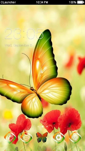 Beautiful Butterfly Theme