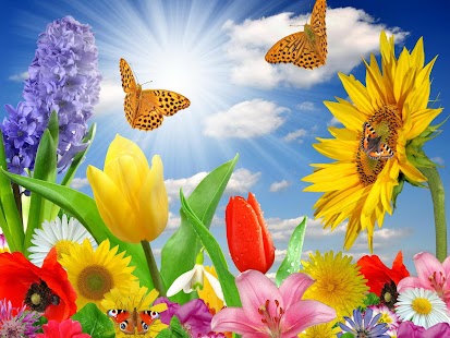 Free floral wallpaper APK for Android