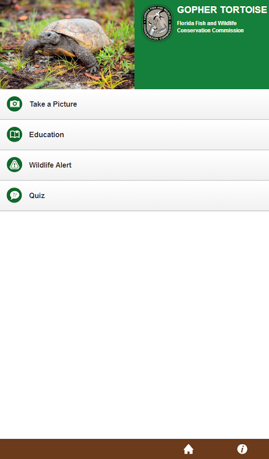    Florida Gopher Tortoise- screenshot  