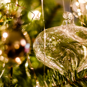 by Angelo Perrino - Public Holidays Christmas