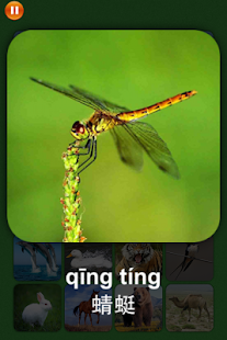 How to download 宝宝趣味识图对对碰与记忆训练-动物篇 lastet apk for laptop