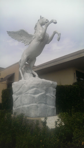 Jacksonville Beach Pegasus