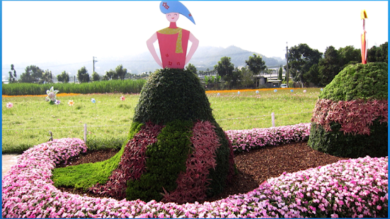 download Colorful Flower Wallpaper free