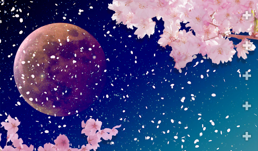 【免費娛樂App】Full moon and cherry blossoms-APP點子